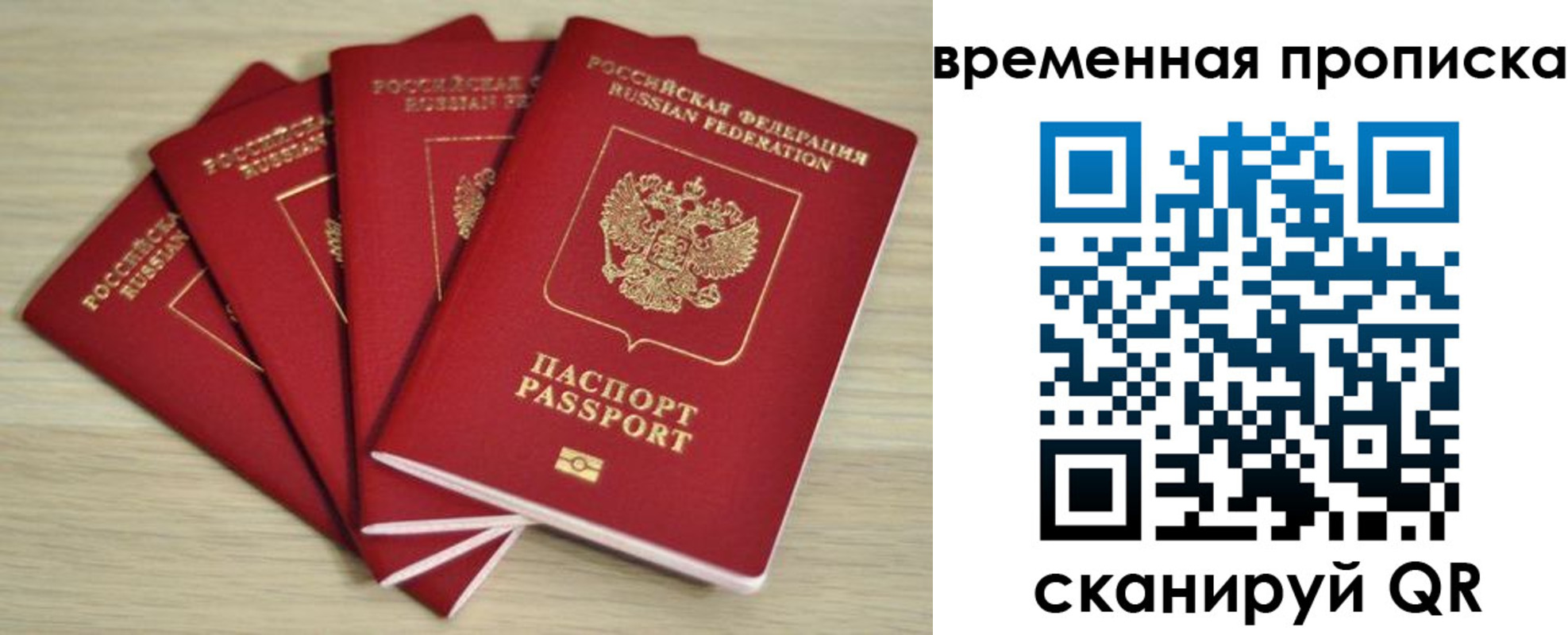 прописка для школы в Алексеевке